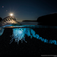 Imagen para el artículo titulado Las fotos ganadoras del concurso anual de National Geographic muestran un planeta tan hermoso que no lo merecemos